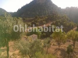 Rustic land, 60000 m²