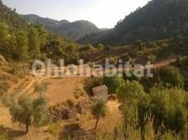 Rustic land, 60000 m²