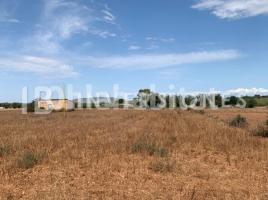 Rustic land, 358 m², Manacor Centro