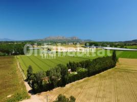 Casa (unifamiliar aïllada), 317 m², Camí de Parlavà