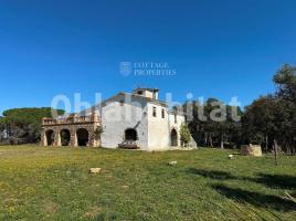  (masia), 451 m², Zona