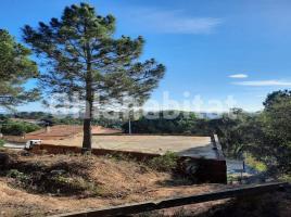 , 55 m², Calle Carolinas