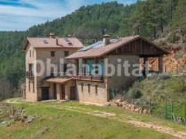  (masia), 451 m², Zona