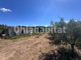 , 12000 m², Partida PLA DE L'HORTA