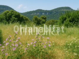 Sòl urbà, 423 m²
