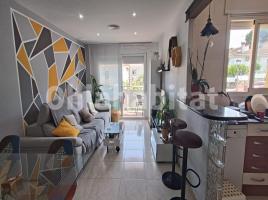Pis, 85 m², prop de bus i tren, seminou