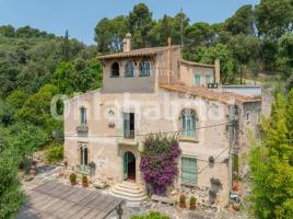  (masia), 544 m², Zona