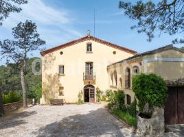  (masia), 810 m², Zona