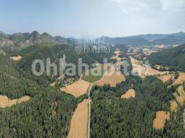  (masia), 810 m², Zona