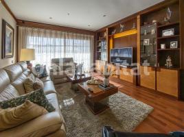 Houses (detached house), 383 m², near bus and train, centre