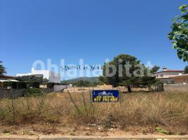 , 290 m²