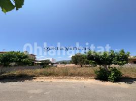 , 290 m²