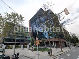 Alquiler oficina, 446 m²