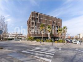 Alquiler oficina, 245 m²