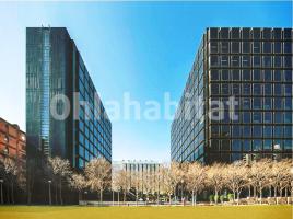 Lloguer oficina, 243 m²