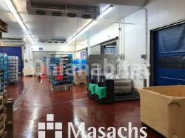 Industrial, 2028 m², Zona