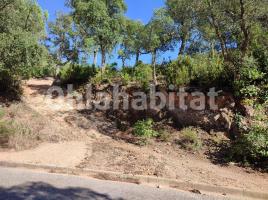 Sòl rústic, 600 m², Avenida de la Senyera, 88