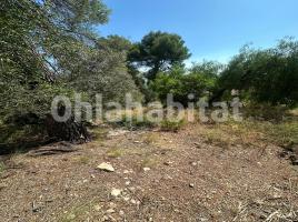 Rustic land, 758 m², Vía Gran Via de Fontpineda, 59