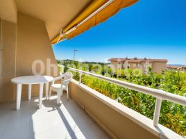 Study, 33 m², Calle Assutzena