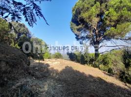 Suelo rústico, 832 m²