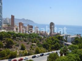 Pis, 300 m², Avenida Murtal