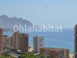 Pis, 300 m², Avenida Murtal