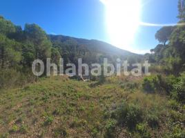 Urban, 587 m², Calle Hort Vell, 17