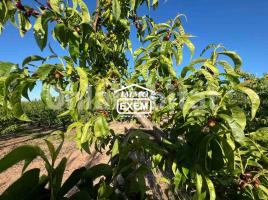 Sòl rústic, 111000 m²